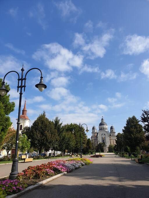 Zen By Downtown Apartments Targu Mures Exterior photo