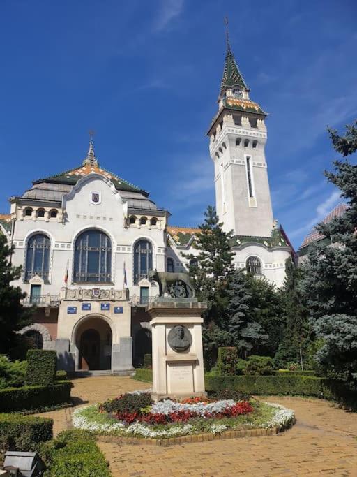 Zen By Downtown Apartments Targu Mures Exterior photo